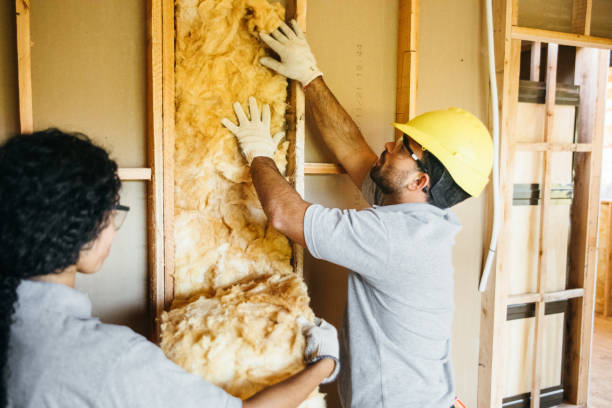 Trusted West Lealman, FL Insulation Services Experts